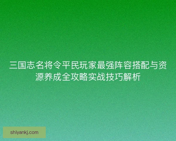 三国志名将令平民玩家最强阵容搭配与资源养成全攻略实战技巧解析