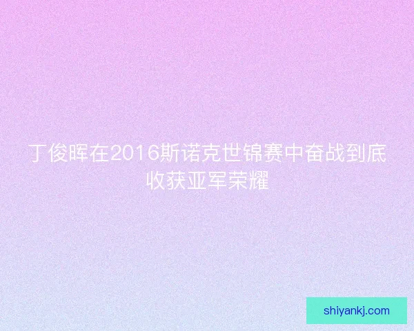 丁俊晖在2016斯诺克世锦赛中奋战到底收获亚军荣耀