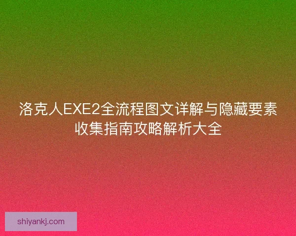 洛克人EXE2全流程图文详解与隐藏要素收集指南攻略解析大全