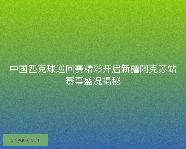 中国匹克球巡回赛精彩开启新疆阿克苏站赛事盛况揭秘
